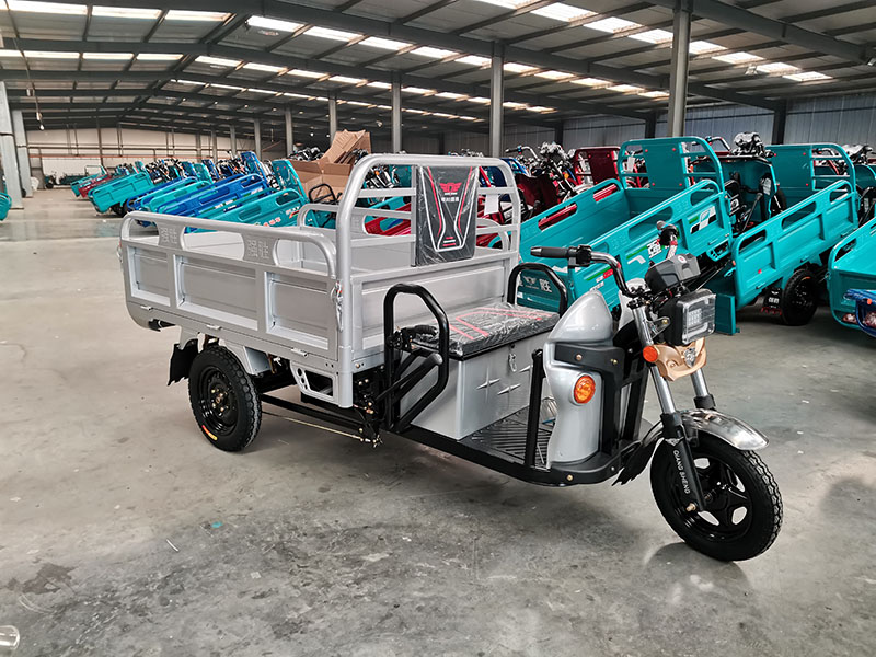 QSD cargo e rickshaw 400kgs loading capacity electric tricycle loader e rickshaw loader for adults