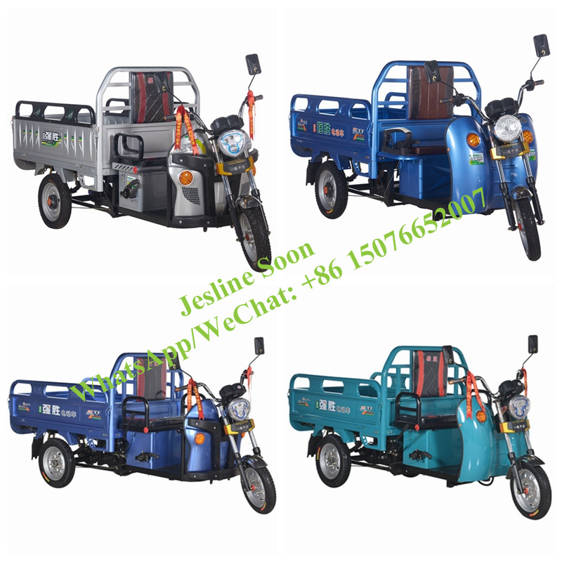 Made In China Electric Auto Rickshaw Easy Operate Electric Tricycle Rickshaw Light Cargo Auto Rickshaw Electric Cargo Loader